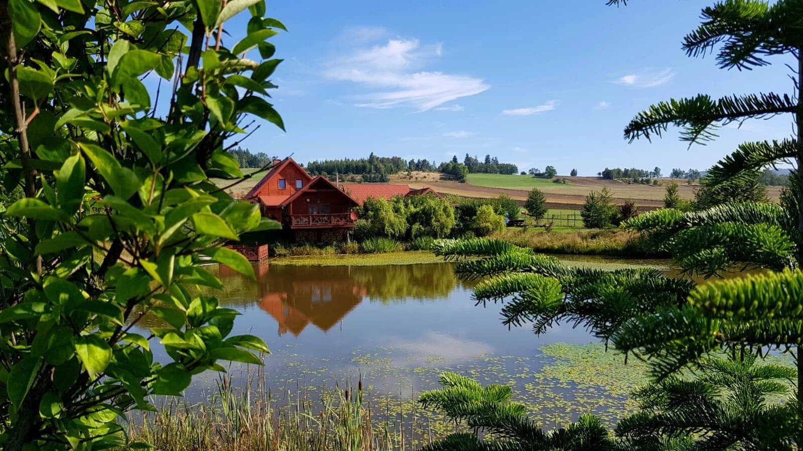 Przystań Misiówka - jesteś u siebie, domki Borówno i Czarny Bór